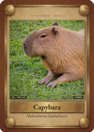 Capybara