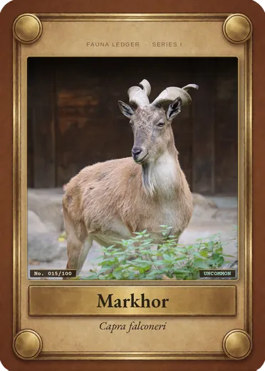 Markhor