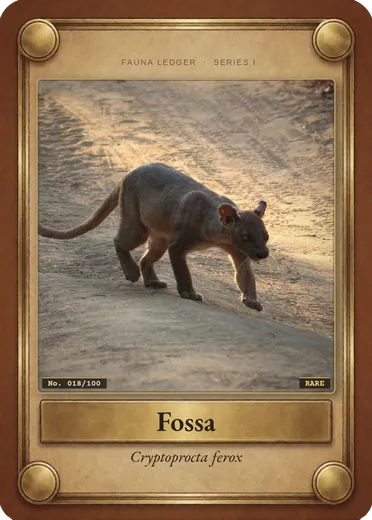Fossa