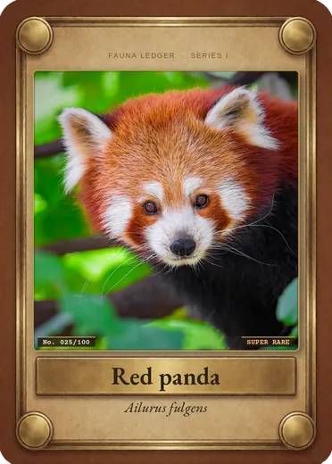 Red panda