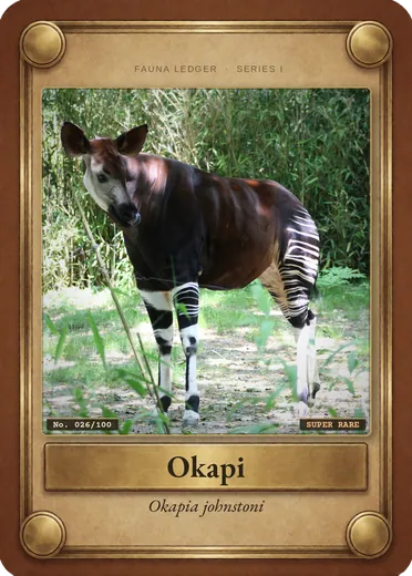 Okapi
