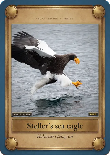 Steller's sea eagle