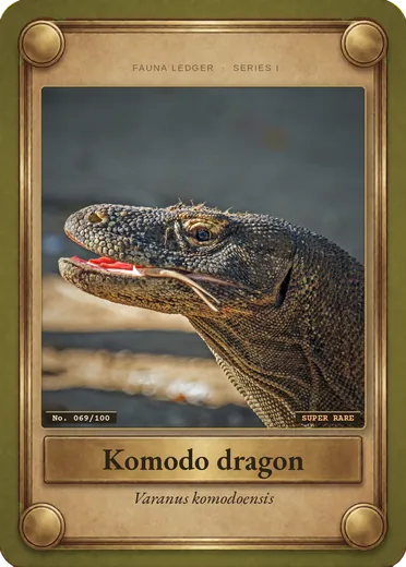 Komodo dragon