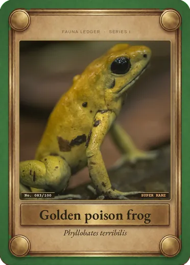 Golden poison frog