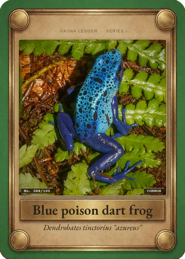 Blue poison dart frog