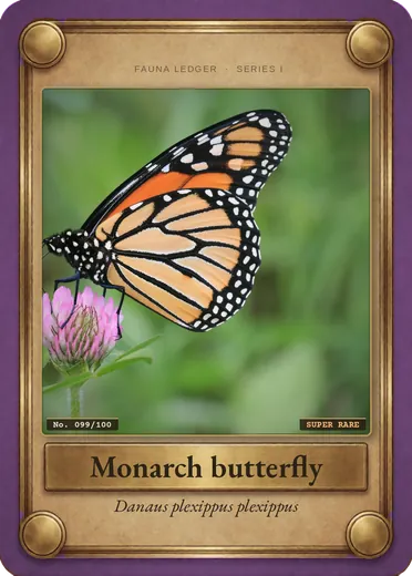 Monarch butterfly (migratory population)